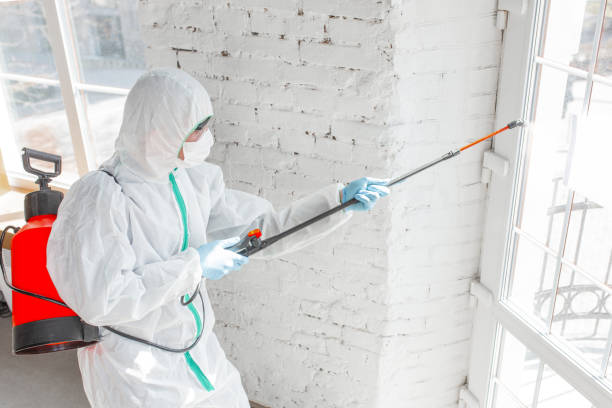 Mold Documentation for Insurance Claims in Allen, TX